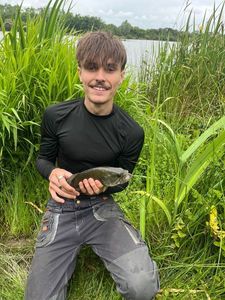 Largemouth Bass
