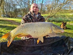 Common Carp