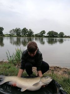 Grass Carp