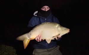Mirror Carp