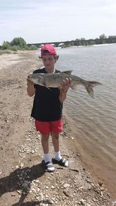 Asp caught by Josh H