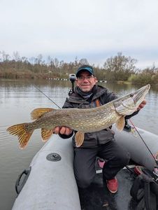 Northern Pike