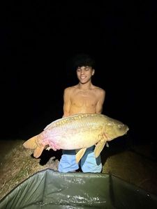 Mirror Carp