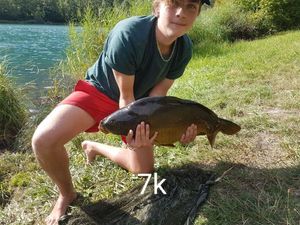 Mirror Carp