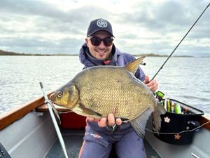 Common Bream
