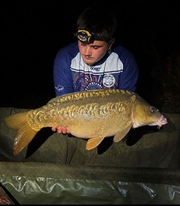 Mirror Carp