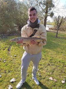 Northern Pike