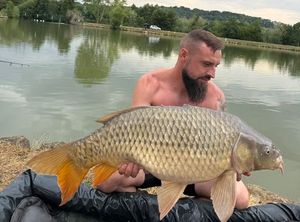 Common Carp