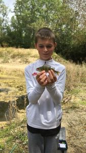 European Perch