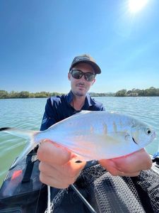 Pompano
