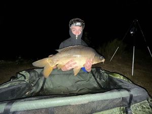 Mirror Carp