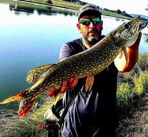 Northern Pike