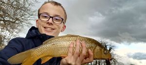 Common Carp