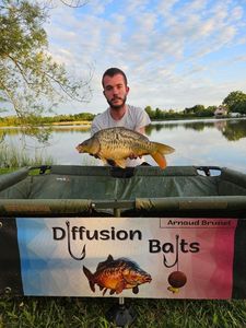 Mirror Carp