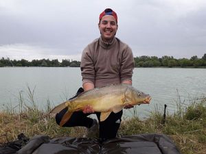Mirror Carp