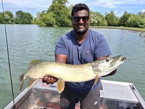 Northern Pike