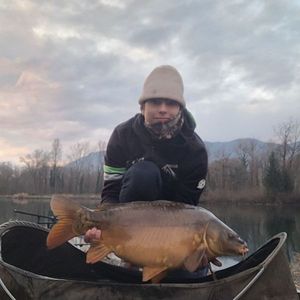 Mirror Carp