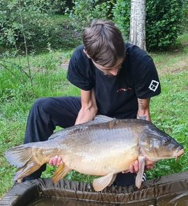 Mirror Carp