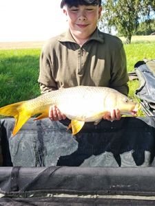 Mirror Carp