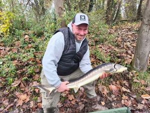 Sturgeon