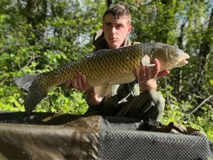 Grass Carp