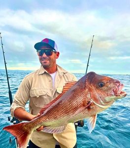 Red Snapper