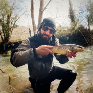 Brown Trout