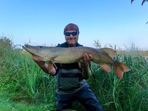 Northern Pike
