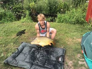 Common Carp