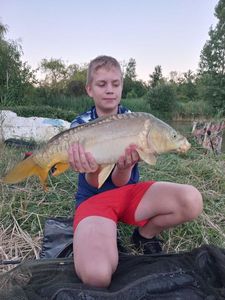 Mirror Carp