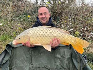 Common Carp