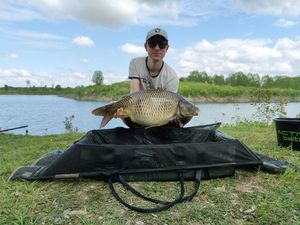 Common Carp