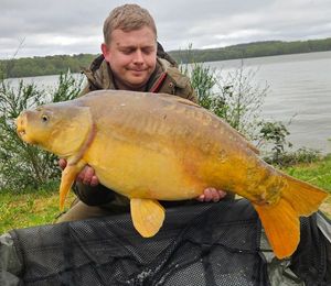 Mirror Carp
