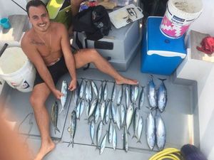 Chub Mackerel
