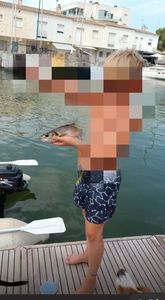 European Bass (Seabass)