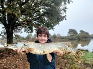 Northern Pike