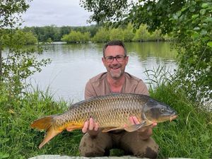 Common Carp