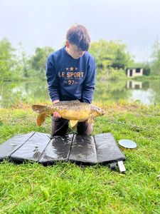 Mirror Carp