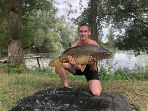 Mirror Carp