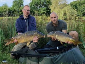 Mirror Carp
