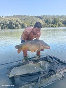 Mirror Carp