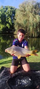 Common Carp