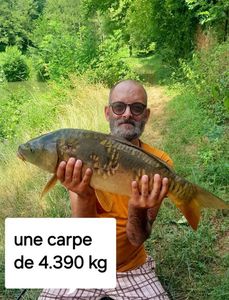 Mirror Carp