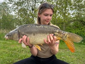 Mirror Carp