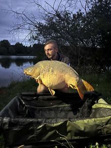 Mirror Carp