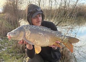 Mirror Carp