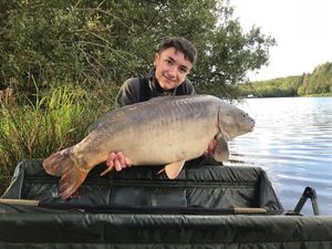 Mirror Carp