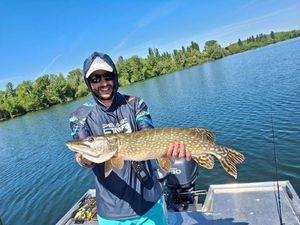 Northern Pike