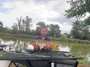 Mirror Carp