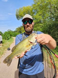 Largemouth Bass